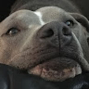 Meet your Posher, Alison